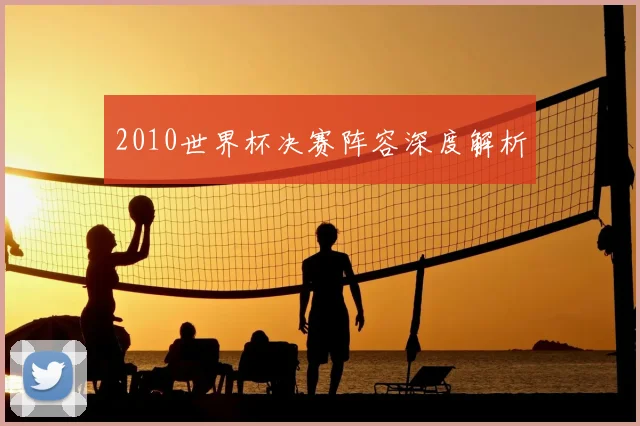 2010世界杯决赛阵容深度解析